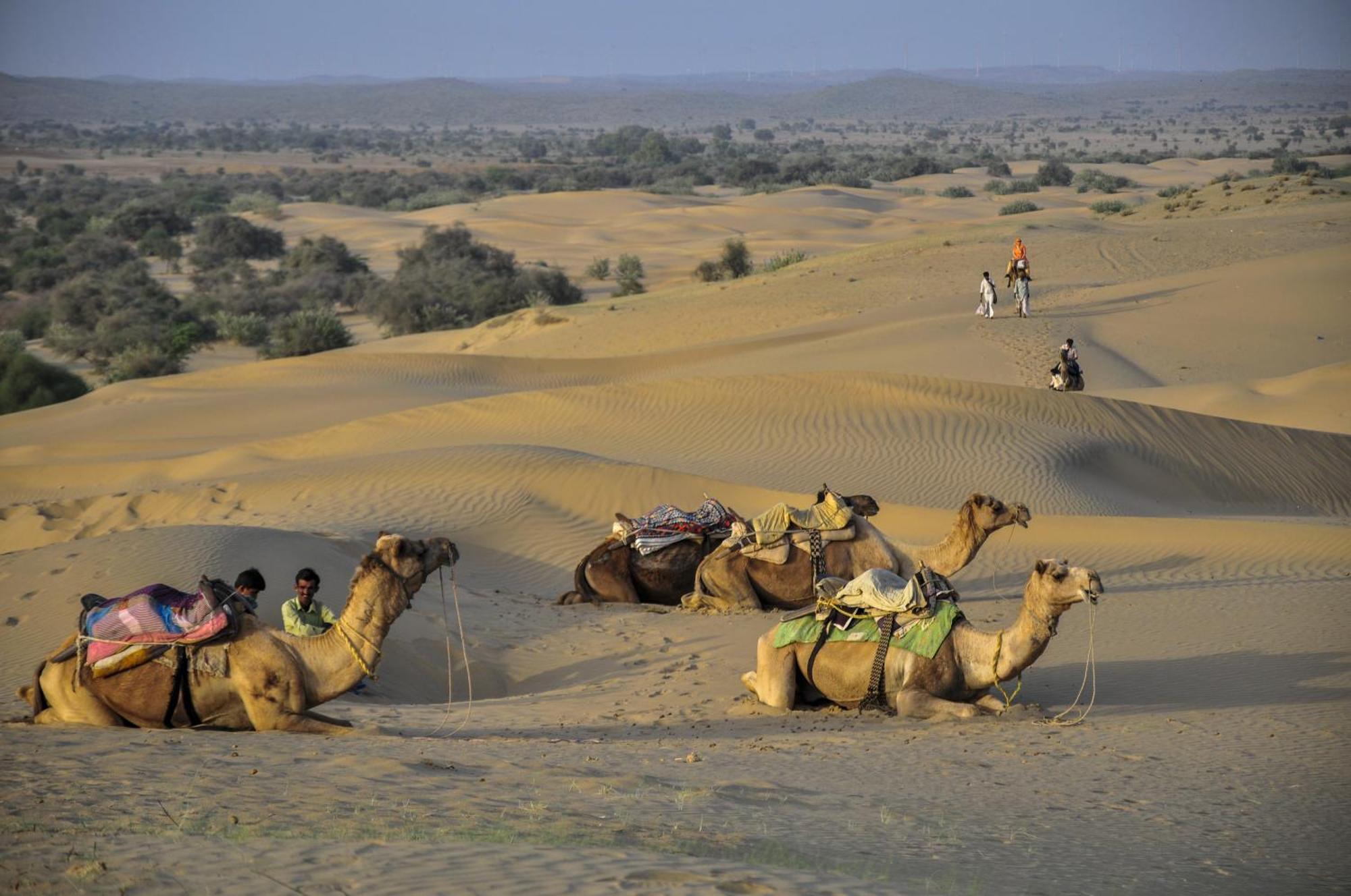 Hotel Royal Jaisalmer Exterior photo
